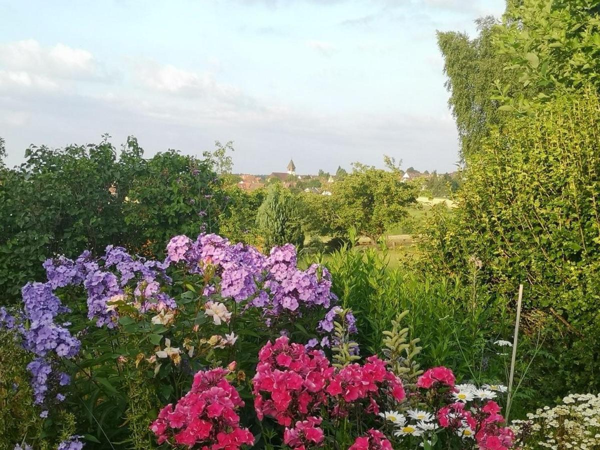 Ferienwohnung Schmuckkaestchen Calw Εξωτερικό φωτογραφία